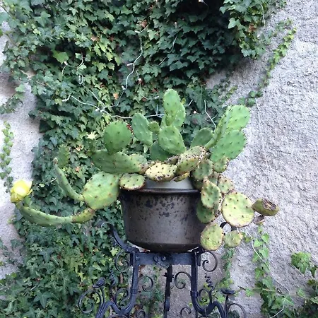 A Casa Di Gianni E Mari Bed & Breakfast *