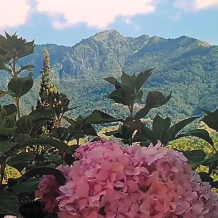 A Casa Di Gianni E Mari Bed & Breakfast Avenone