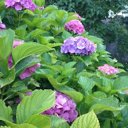 Bed & Breakfast A Casa Di Gianni E Mari 4*