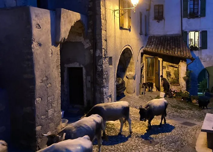 A Casa Di Gianni E Mari Oda ve Kahvaltı Avenone