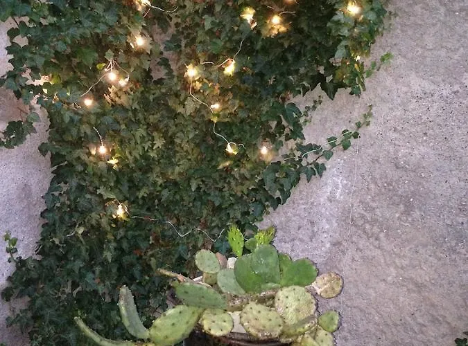 Oda ve Kahvaltı A Casa Di Gianni E Mari 4*