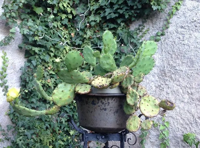 A Casa Di Gianni E Mari Oda ve Kahvaltı 4*