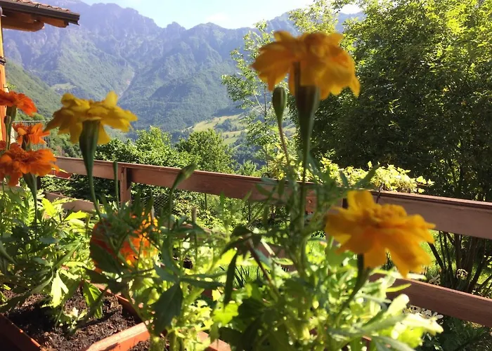 Oda ve Kahvaltı A Casa Di Gianni E Mari Avenone